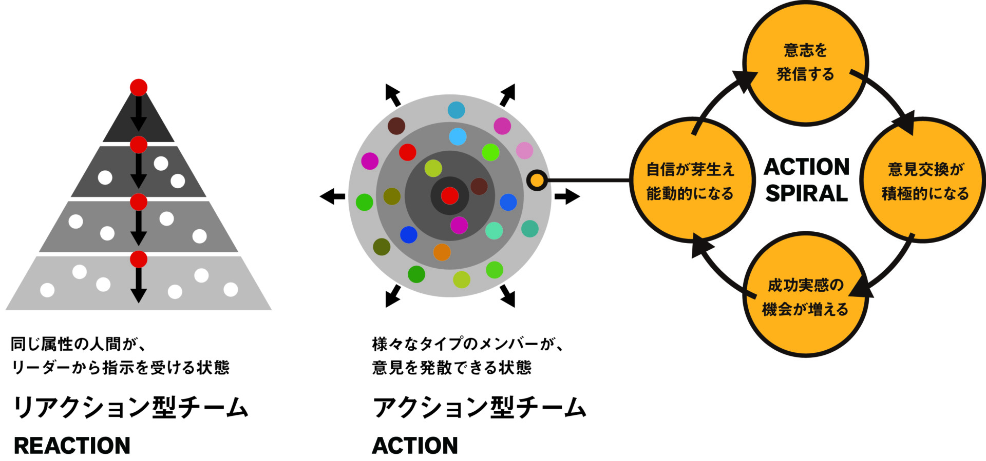 多様性が生む強さ──異なる視点を持つチームの価値